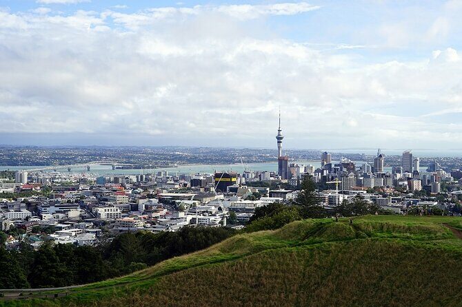 Auckland Museum and Highlight Sightseeing Tour - Final Thoughts