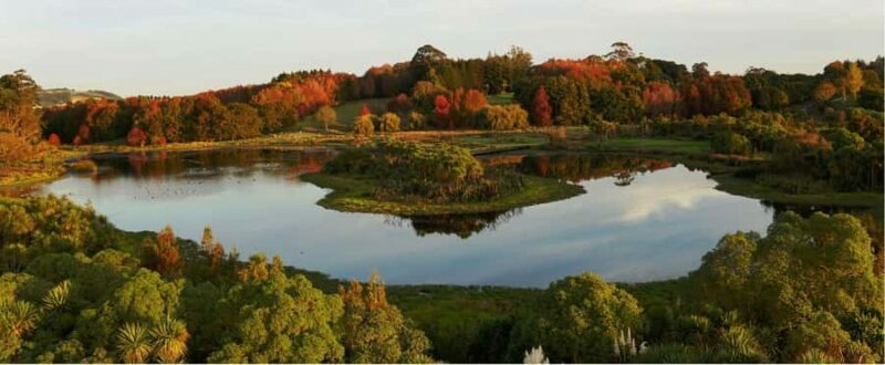 Auckland Nature Tour - Authenticity and Value