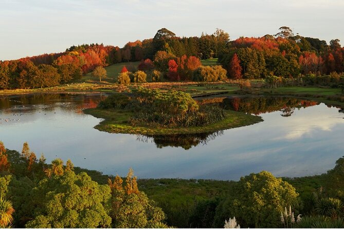 Auckland Nature Tour - Traveler Experiences