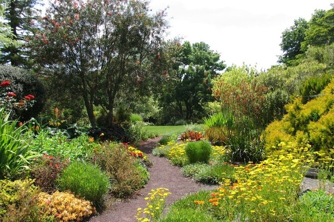 Auckland Nature Tour - Location and Accessibility
