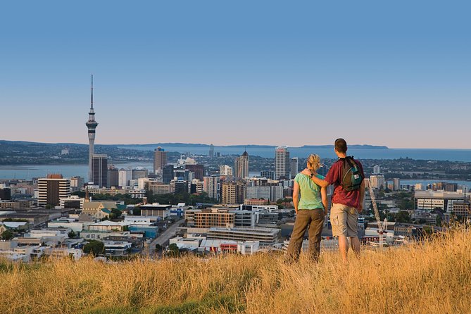 Auckland Private Tour Including Airport Transfer - Tour Features