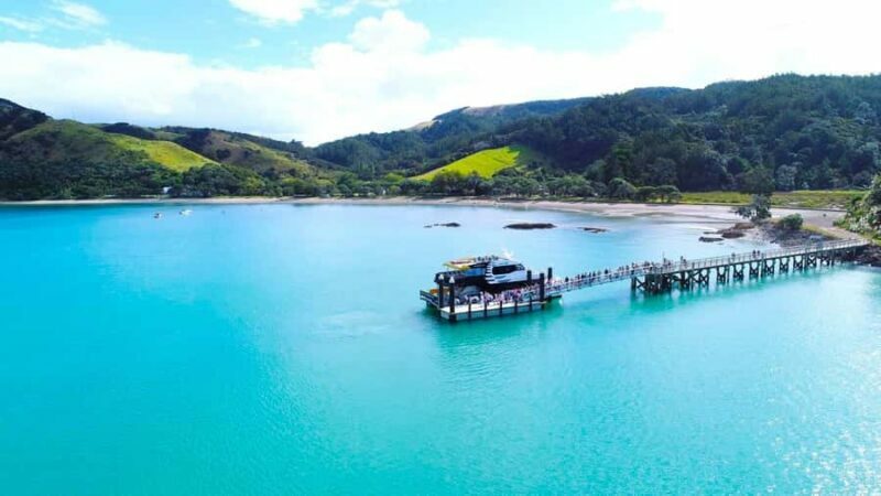 Auckland: Rotoroa Island and Man O'War Vineyard Combo Tour - Final Thoughts
