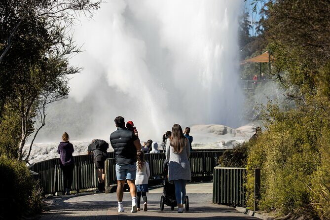 Auckland: Rotorua Te Puia with Haka & Polynesian Spa Small Group - Key Points