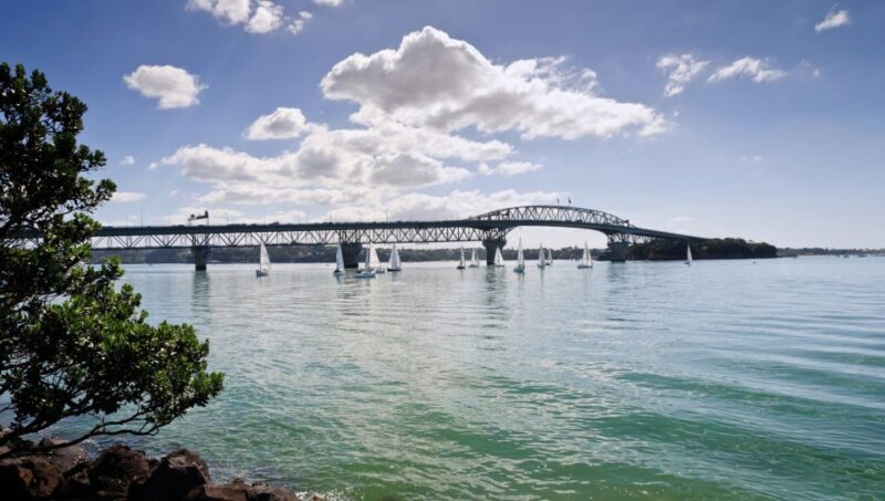 Auckland Scenic Half-Day City Sightseeing Tour - Highlights and Experience