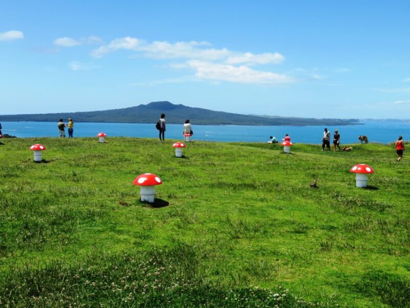Auckland: Segway Tour to Mount Victoria - Safety and Requirements