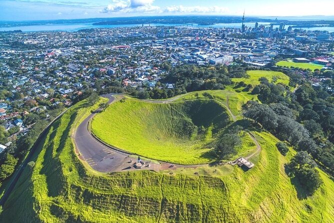 Auckland Shore Excursion Private Tour - Reviews