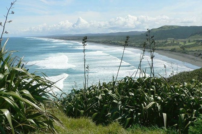 Auckland Shore Excursion: West Coast Wineries Tour - Itinerary Highlights