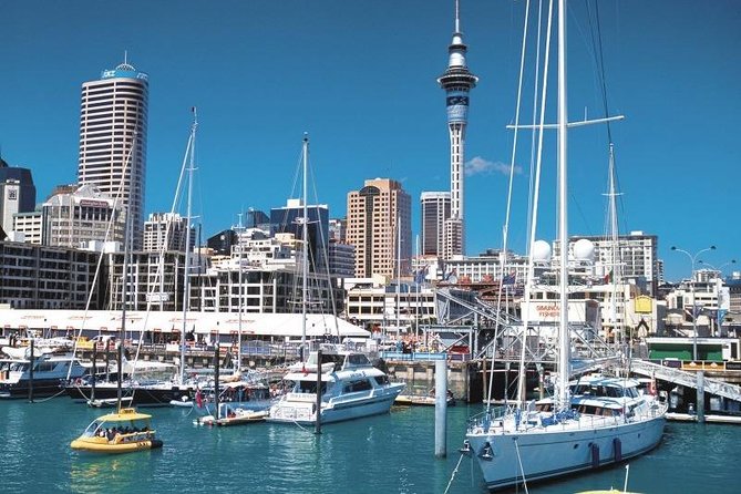 Auckland Shore Excursion: West Coast Wineries Tour - Meeting and Pickup Information