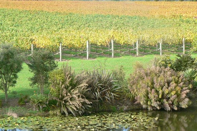 Auckland Shore Excursion: West Coast Wineries Tour - Policies and Guarantees