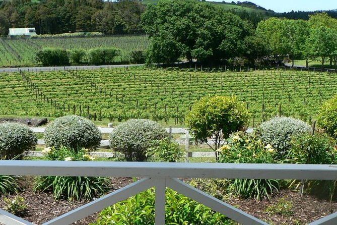 Auckland Shore Excursion: West Coast Wineries Tour - Scenic Wine Region