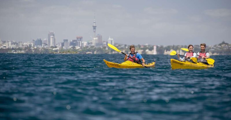 Auckland: Sunset & Night Sea Kayak Tour to Rangitoto Island - Key Points