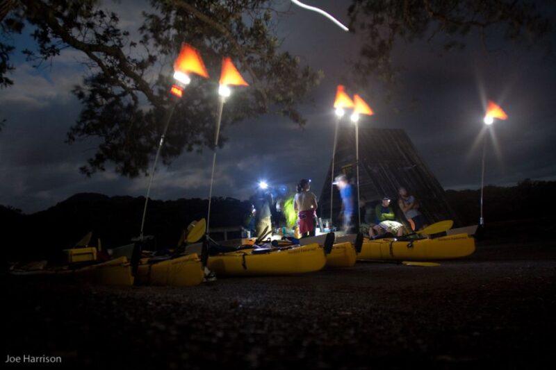 Auckland: Sunset & Night Sea Kayak Tour to Rangitoto Island - Kayaking Experience