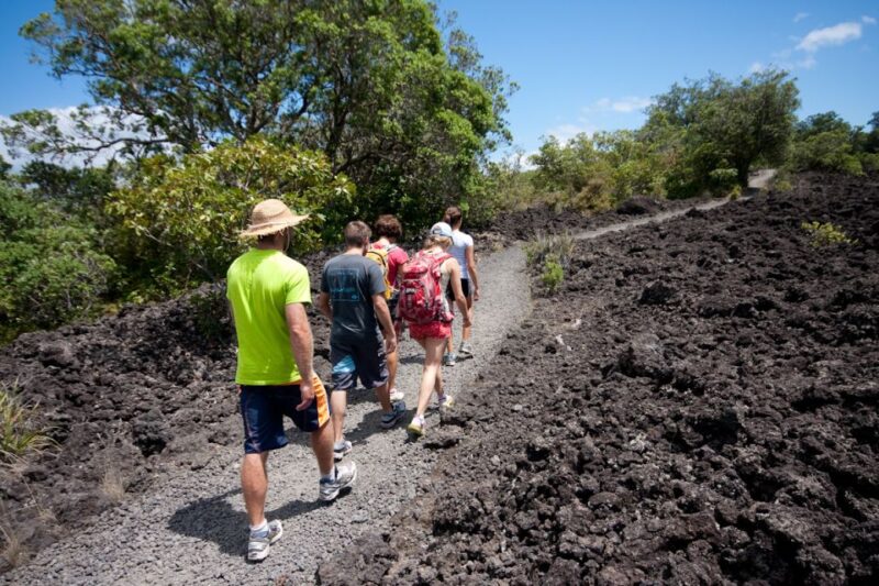 Auckland: Sunset & Night Sea Kayak Tour to Rangitoto Island - Hiking and Dinner