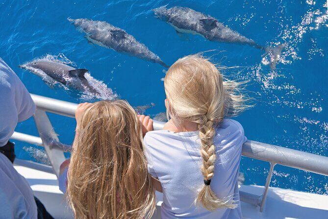 Auckland: Tikapa Moana Dolphin, Whale and Island Cruise - Key Points