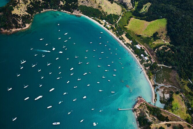 Auckland: Tikapa Moana Dolphin, Whale and Island Cruise - Who Should Consider This Tour?
