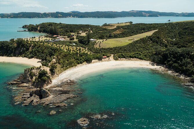Auckland: Tikapa Moana Dolphin, Whale and Island Cruise - FAQs