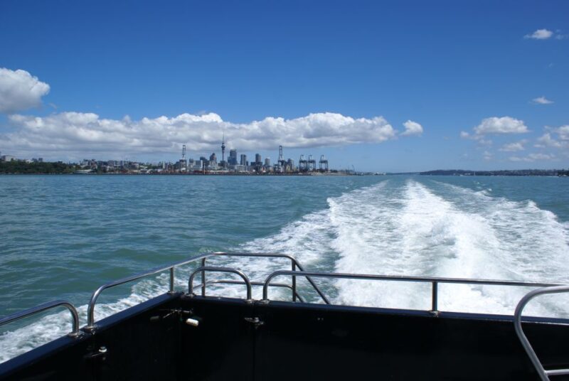 Auckland: Tikapa Moana Whale and Dolphin Wildlife Cruise - Cultural Insights