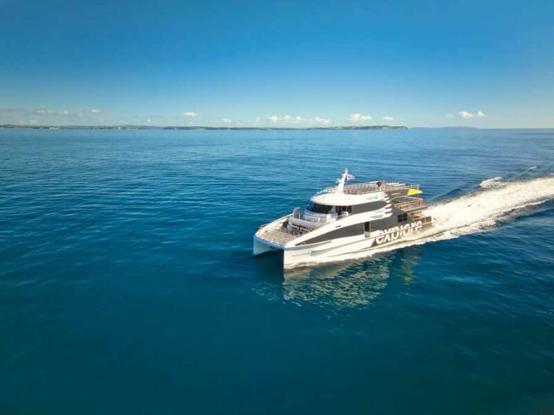 Auckland: Tikapa Moana Whales, Dolphins and Islands Cruise - The Experience in Detail