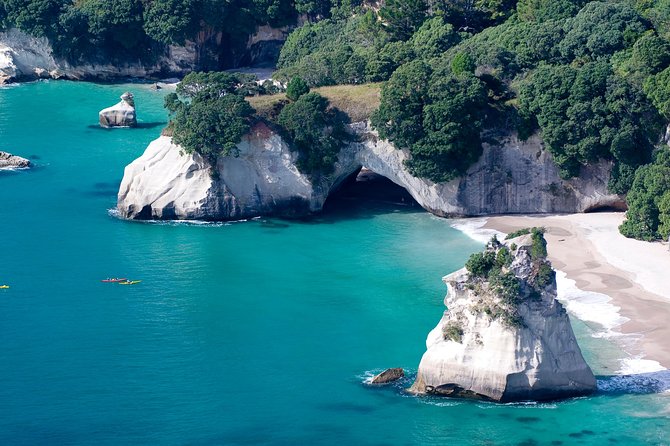 Auckland to Coromandel Private Tour - Pickup and Drop-off