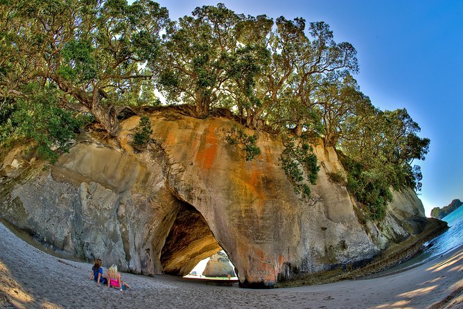 Auckland to Coromandel Private Tour - Frequently Asked Questions