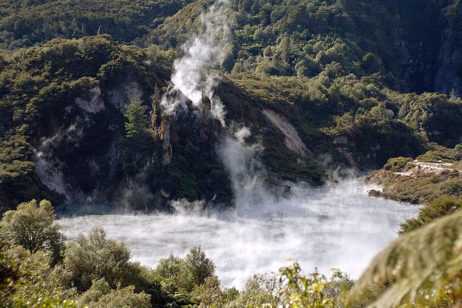Auckland to Rotorua Private Tour - Eco-Cultural Initiatives