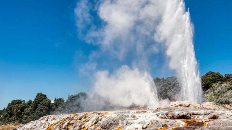 Auckland to Rotorua Small Group Tour & Activity Add-Ons - Transportation and Pickup Information