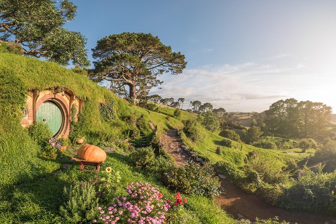 Auckland to Rotorua via Hobbiton Small Group Tour (One Way) - Reviews and Experiences