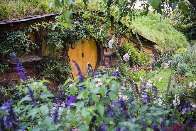 Auckland to Rotorua via Hobbiton Small Group Tour (One Way) - Relive Moments From the Films