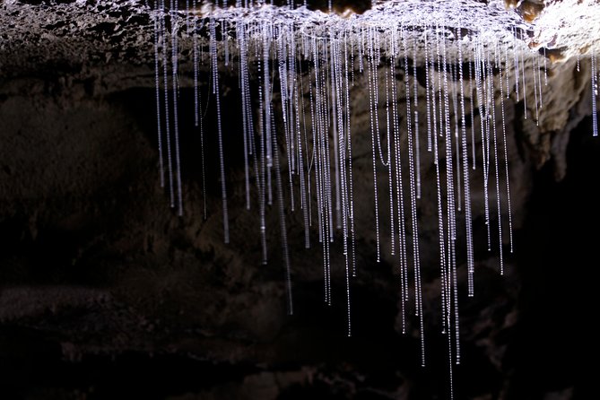 Auckland to Rotorua via Waitomo Caves and Hobbiton Movie Set One-Way Private - Tour Rating and Pricing