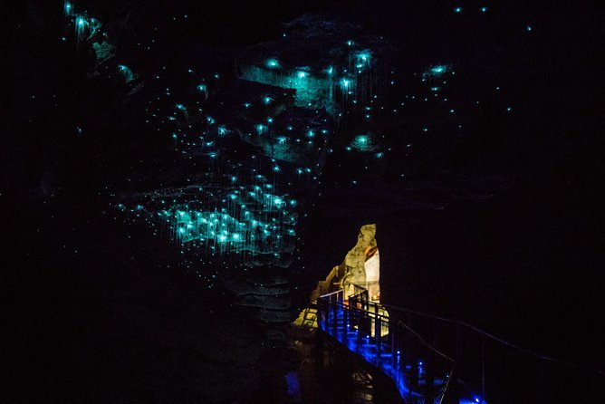Auckland to Rotorua via Waitomo Caves Small Group Tour (One Way) - Meeting and Pickup