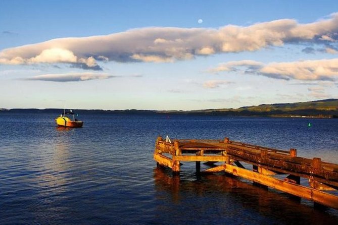 Auckland to Rotorua via Waitomo Caves Small Group Tour (One Way) - Booking and Pricing