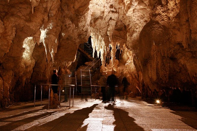 Auckland to Waitomo Caves Private Tour - Inclusions
