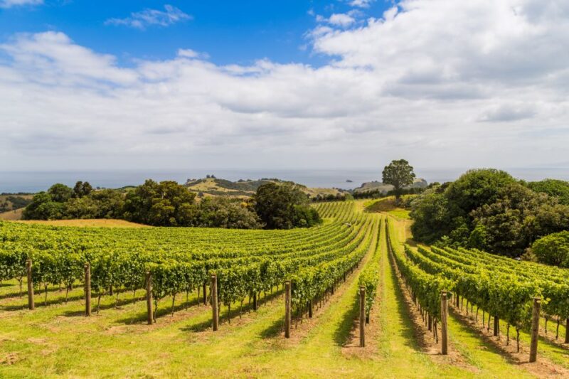 Auckland: Waiheke Island Fast Ferry Pass - Animal-Friendly Ferry Service
