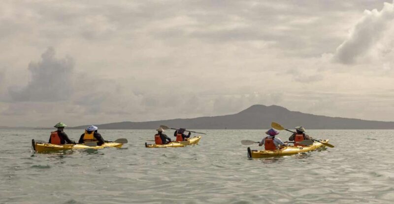 Auckland: Waiheke Island Sea Kayak Tour - Key Points