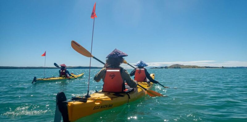Auckland: Waiheke Island Sea Kayak Tour - Accommodation and Dining