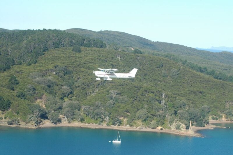 Auckland: Waiheke Island Wine and Food Tasting With Flights - Flight and Transportation