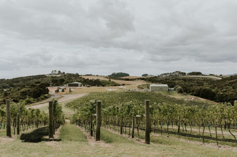 Auckland: Waiheke Island Wine and Food Tasting With Flights - Food and Wine Tasting