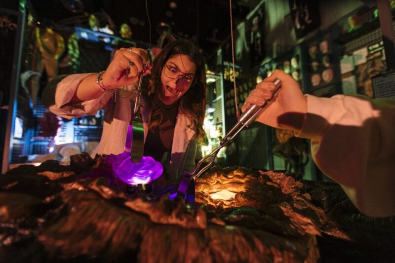Auckland: Weta Workshop Unleashed Tour - Recap