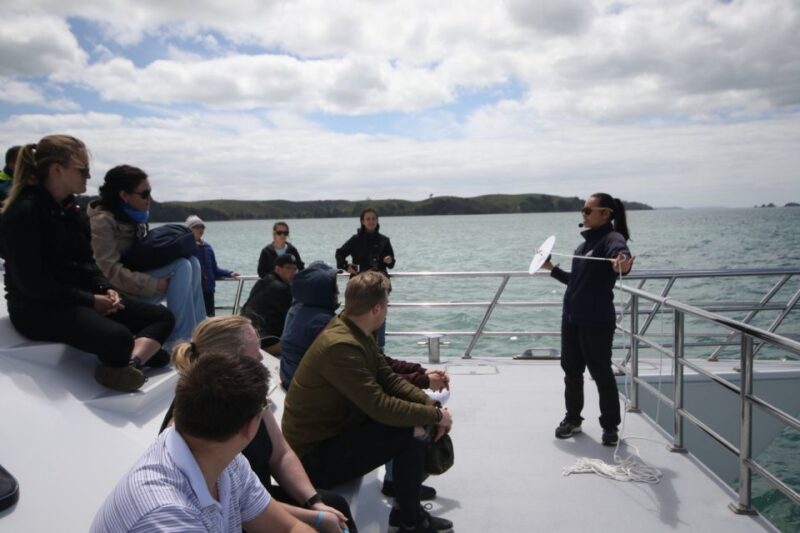 Auckland: Whale and Dolphin Watching Half-Day Eco Cruise - Onboard Experience