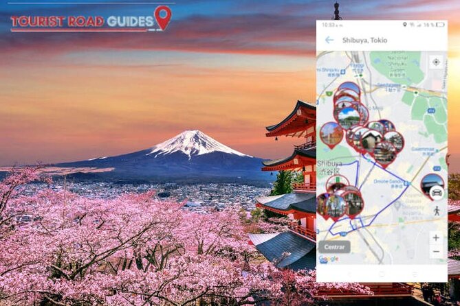 Audio Guide App Japan Tokyo Kyoto Takayama Kanazawa Nikko and Others - Accessibility and Restrictions