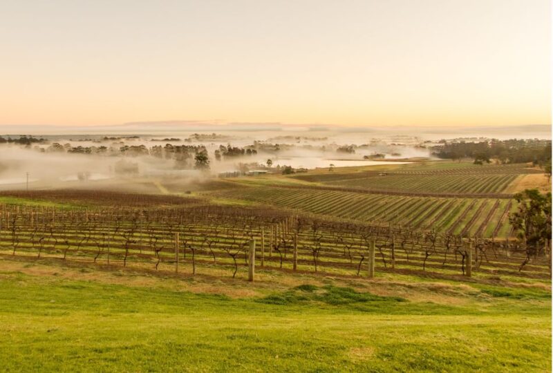 Audrey Wilkinson: Cheese and Barrel Wine Tasting - Inclusions