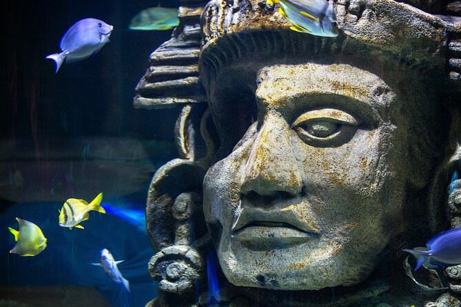 Audubon Aquarium & Insectarium Ticket - Interactive Insectarium Experience
