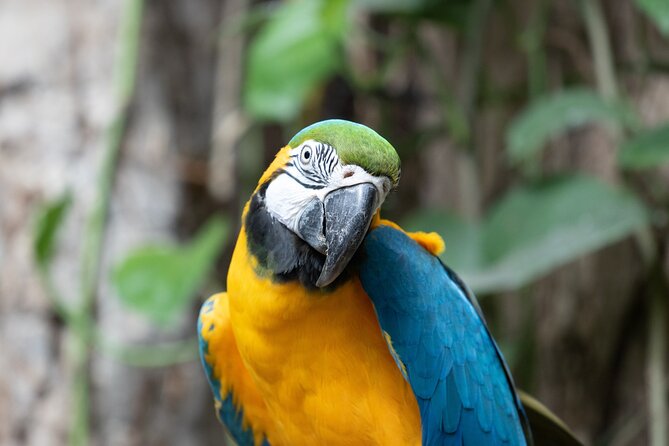 Audubon Aquarium & Insectarium Ticket - Butterfly Garden Highlight