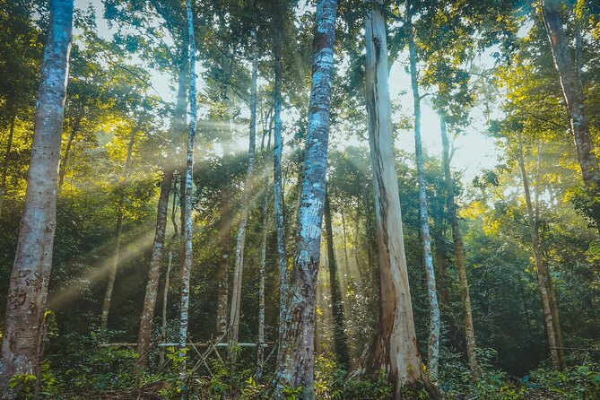 Aural Mountain Trek: Cambodia Tallest Peak Challenge - Practical Tips for the Aural Mountain Trek