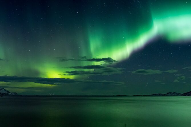 Aurora Abisko - Immersive Nature Activities