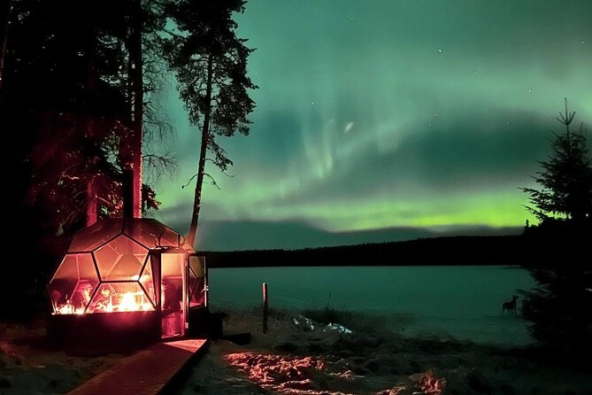 Aurora Borealis Dinner in a Glass Igloo - Northern Lights Spotting