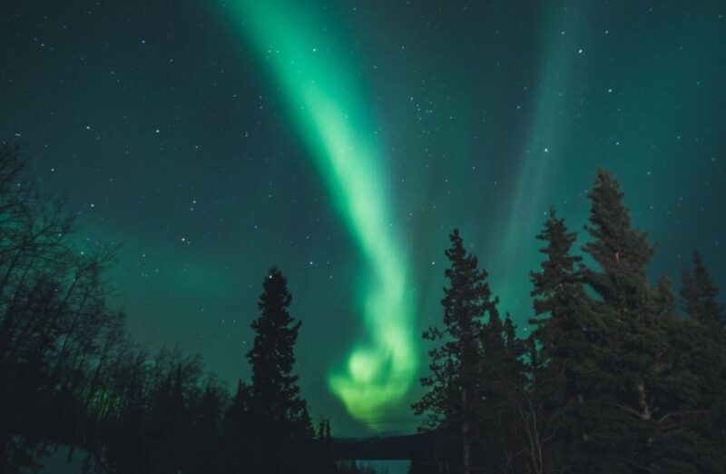 Aurora Borealis Quest: Private Yukon Nighttime Tour - Booking Information