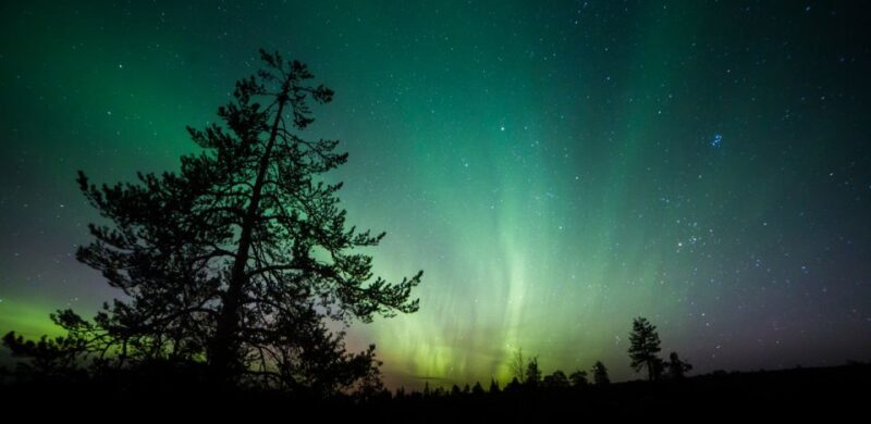 Aurora Borealis Quest: Private Yukon Nighttime Tour - Stunning Photography