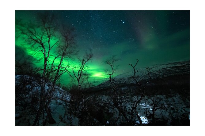 Aurora Borealis Tour Kiruna - Abisko With Local Street Food - Tour Highlights