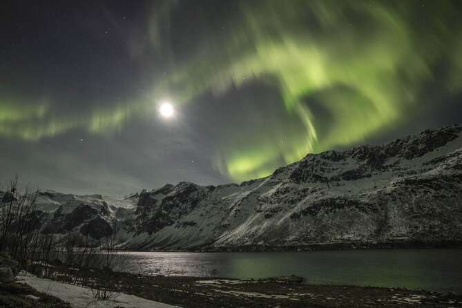Aurora Chase With Professional Photographers (Northern Lights) - Light-Spotting Potential